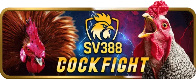 Cá cược bóng đá ban88 win